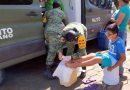 Urge prevenir una crisis sanitaria en Guerrero: GIDH