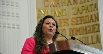 Porque creo en las instituciones, voté en sentido positivo por la ratificación de la Fiscal General de Justicia: Dip. Mónica Fernández