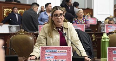 Diputada Cecilia Vadillo Obregón rechaza la privatización del Parque Lira
