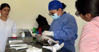 Baltazar Narciso impulsa salud pública con jornadas gratuitas de esterilización en Xiutetelco