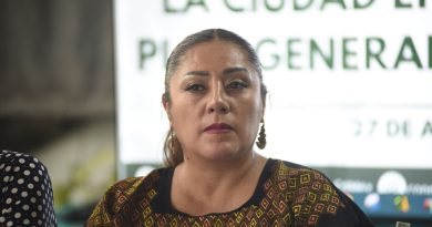 Morena busca incluir a ferias y romerías en el Plan General de Desarrollo
