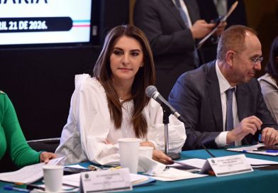 Avanza leyes secundarias de la jornada laboral de 40 hrs en Cámara de Diputados: Dip. Fed. Maiella Gómez Maldonado