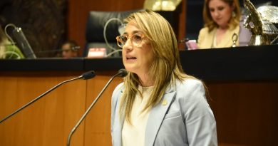 Viriginia Magaña propone frenar la violencia obstétrica desde la formación médica