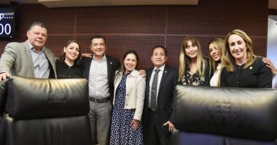 Partido Verde exige acciones coordinadas para frenar fraudes en trámites de pasaporte
