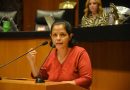 Partido Verde impulsa el derecho a la alimentación sana ante desnutrición y obesidad infantil