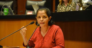 Partido Verde impulsa el derecho a la alimentación sana ante desnutrición y obesidad infantil