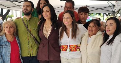 La organización de Prodiana piñata de Alessandra Rojo de la Vega