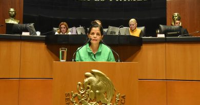 Busca Corona Nakamura actualizar texto de Ley de Instituciones de Seguros y de Fianzas
