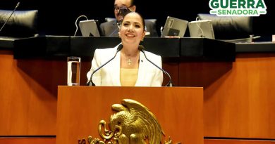 Juanita Guerra propone cerrar el paso a la venta Ilegal de “Jammers” en plataformas digitales