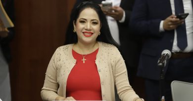 Participación de la senadora Juanita Guerra Mena en la reunión de la Segunda Comisión de la Permanente, asuntos sociales