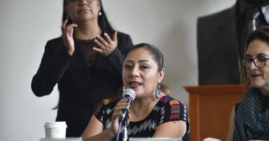 Colapsa la narrativa del PAN frente a la justicia en el caso Ruffo Appel