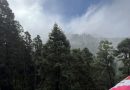 PVEM llama a reflexionar y actuar en favor de la naturaleza