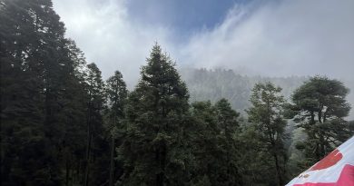PVEM llama a reflexionar y actuar en favor de la naturaleza