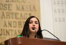 Piden informar protocolos sobre esterilización de animales de compañía