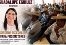En el Plan Guerrero Guadalupe Eguiluz propone créditos accesibles para productoras y productores de Guerrero