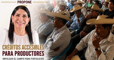 En el Plan Guerrero Guadalupe Eguiluz propone créditos accesibles para productoras y productores de Guerrero