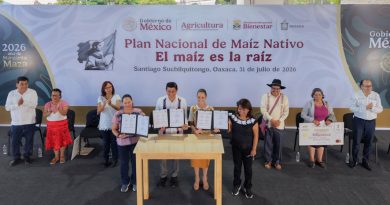 El maíz es la raíz de México; el objetivo es conservar la semilla y generar bienestar: Presidenta Claudia Sheinbaum entrega apoyos del programa a sembradores de Oaxaca