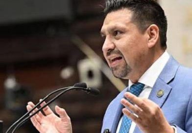 PAN propone esquema mixto donde el Gobierno asociado con empresas genere la industria de reciclaje de sargazo para generar materiales de construcción