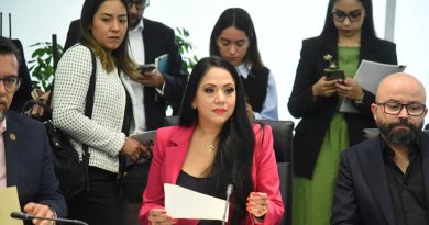 Exige Juanita Guerra acciones urgentes para garantizar la energía eléctrica en Morelos ante la temporada de lluvias