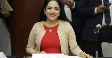Pide Juanita Guerra agregar a la ley de seguridad nacional amenazas dirigidas a titular del Poder Ejecutivo
