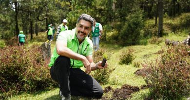 Jesús Sesma llama a reforzar la prevención de incendios forestales