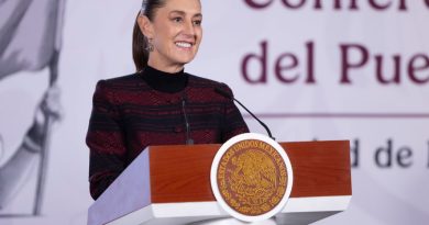 Gobierno de México incorpora las 10 primeras conclusiones preliminares del comité de científicos y especialistas para el análisis de explotación de gas natural no convencional: Presidenta Claudia Sheinbaum