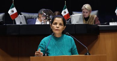 Busca Rocío Corona incluir a menores de edad con vínculo afectivo en protección contra violencia por interpósita persona
