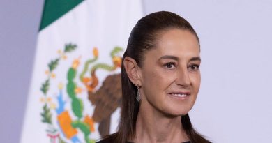 Presidenta Claudia Sheinbaum anuncia grupo de trabajo para que plataformas digitales eliminen y prohíban contenidos violetos