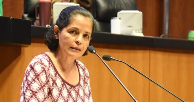 Celebra Partido Verde aprobación de dictamen contra trata infantil en destinos turísticos