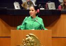 Busca Juanita Guerra fortalecer ley contra el robo de autopartes y su venta por internet