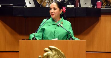 Busca Juanita Guerra fortalecer ley contra el robo de autopartes y su venta por internet
