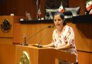 Propone Rocío Corona crear jardines de lluvia para captar agua plural