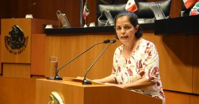 Propone Rocío Corona crear jardines de lluvia para captar agua plural