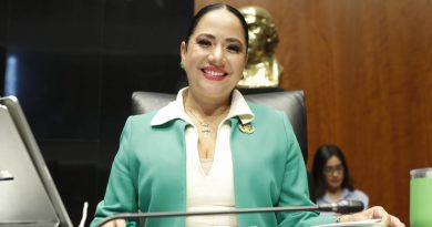 Urge fortalecer capacitación policial ante manifestaciones